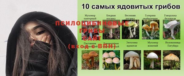 гидропоника Липки